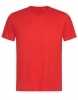Bawełniana koszulka t-shirt marki Stedman