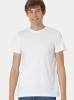 Unisex Tiger Cotton T-Shirt